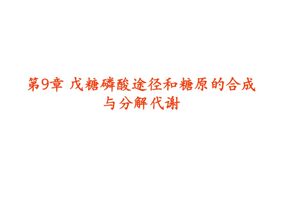 戊糖磷酸途径和糖原合成与分解