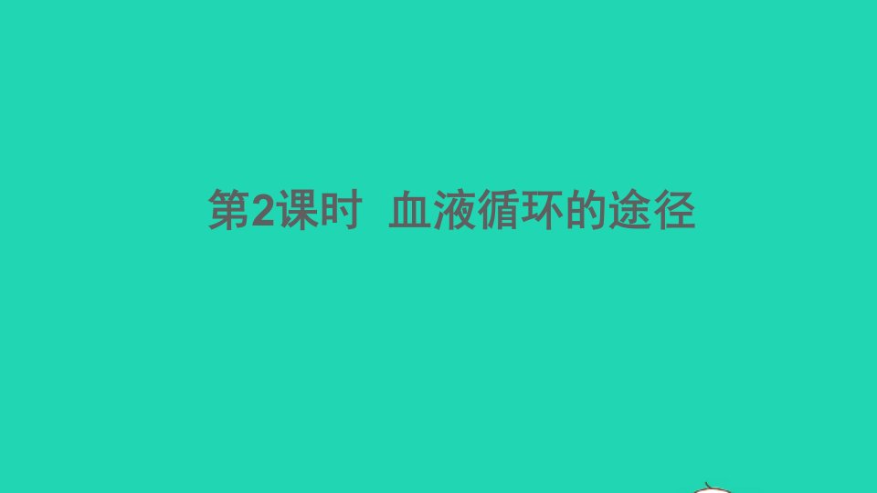 七年级生物下册第四单元生物圈中的人第四章人体内物质的运输第三节输送血液的泵__心脏第2课时血液循环的途径课件新版新人教版