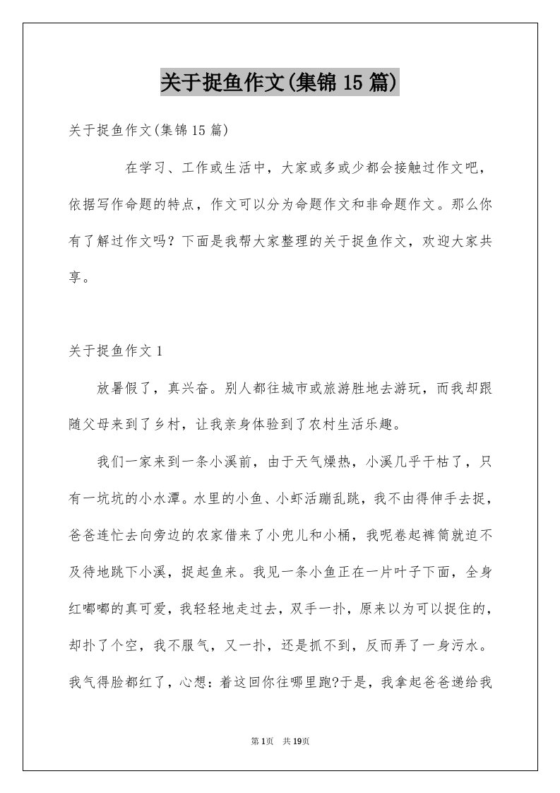 关于捉鱼作文集锦15篇