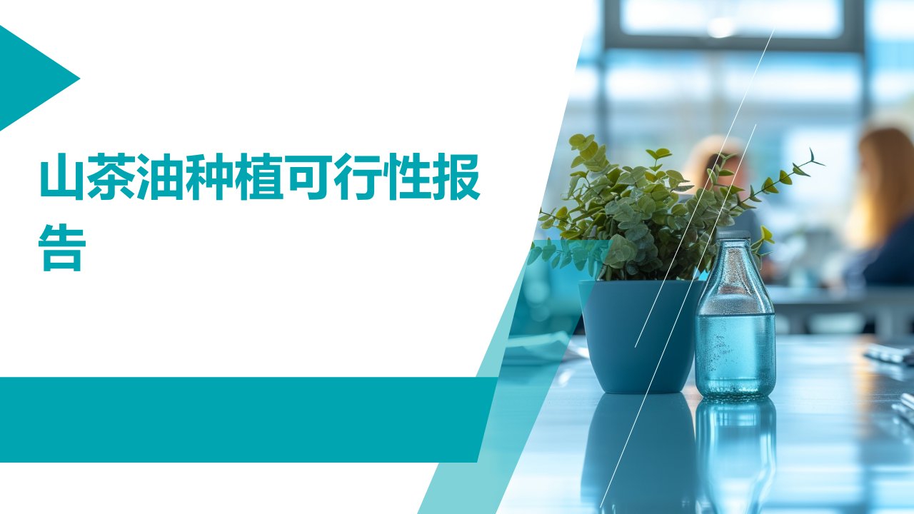 山茶油种植可行性报告