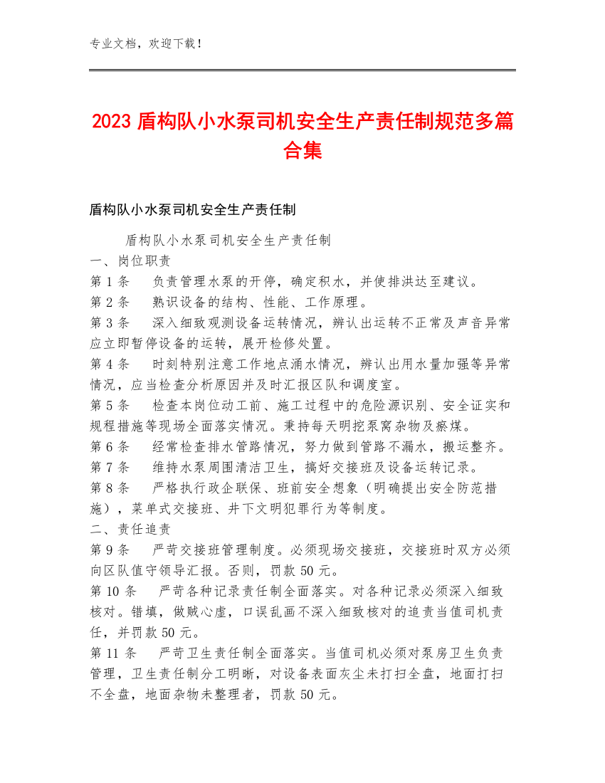 2023盾构队小水泵司机安全生产责任制规范多篇合集