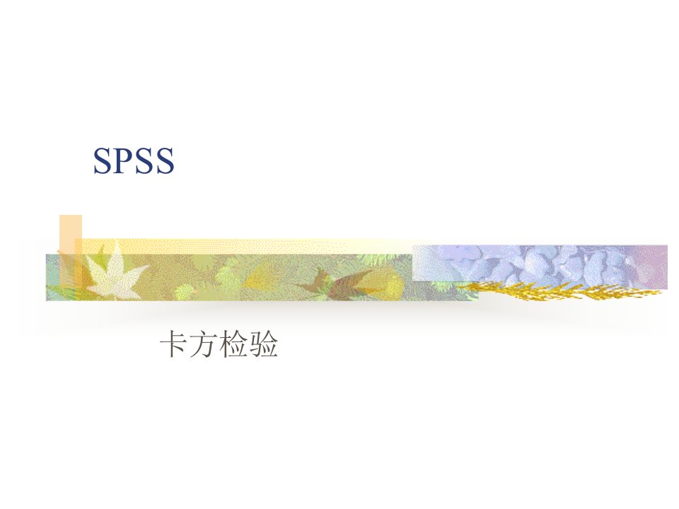 《卡方检验spss》PPT课件