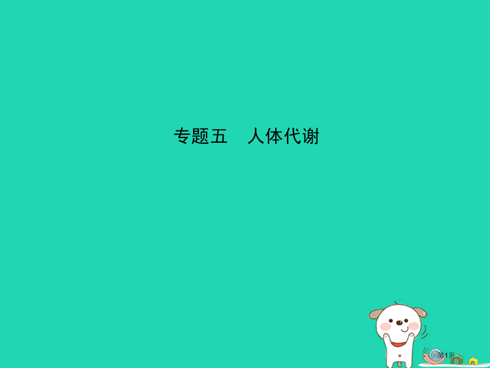 中考生物专题五人体的代谢复习市赛课公开课一等奖省名师优质课获奖PPT课件