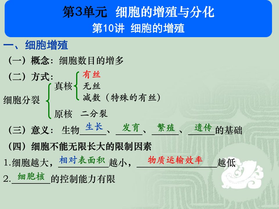 210细胞增殖-张韶杰