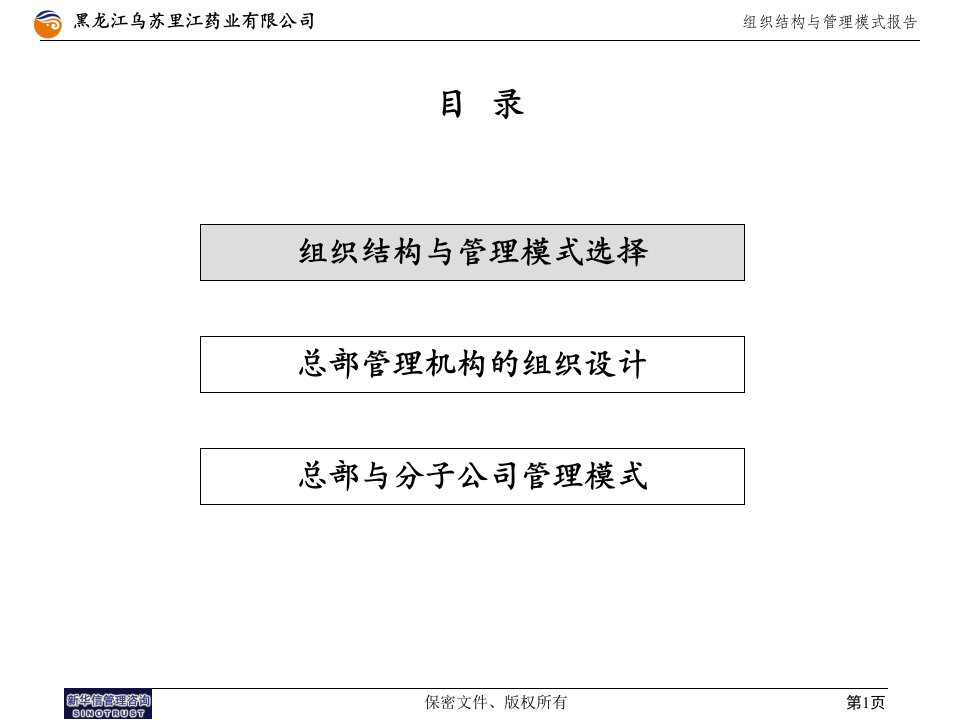 乌苏里江药业集团管理模式报告