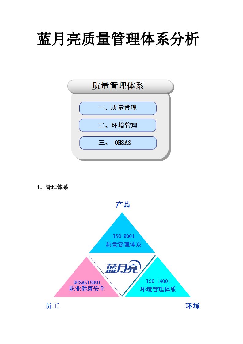 蓝月亮质量管理体系总结