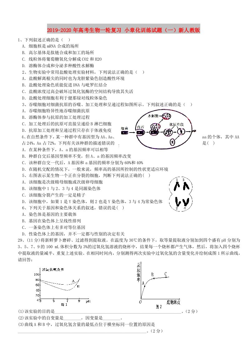 2019-2020年高考生物一轮复习