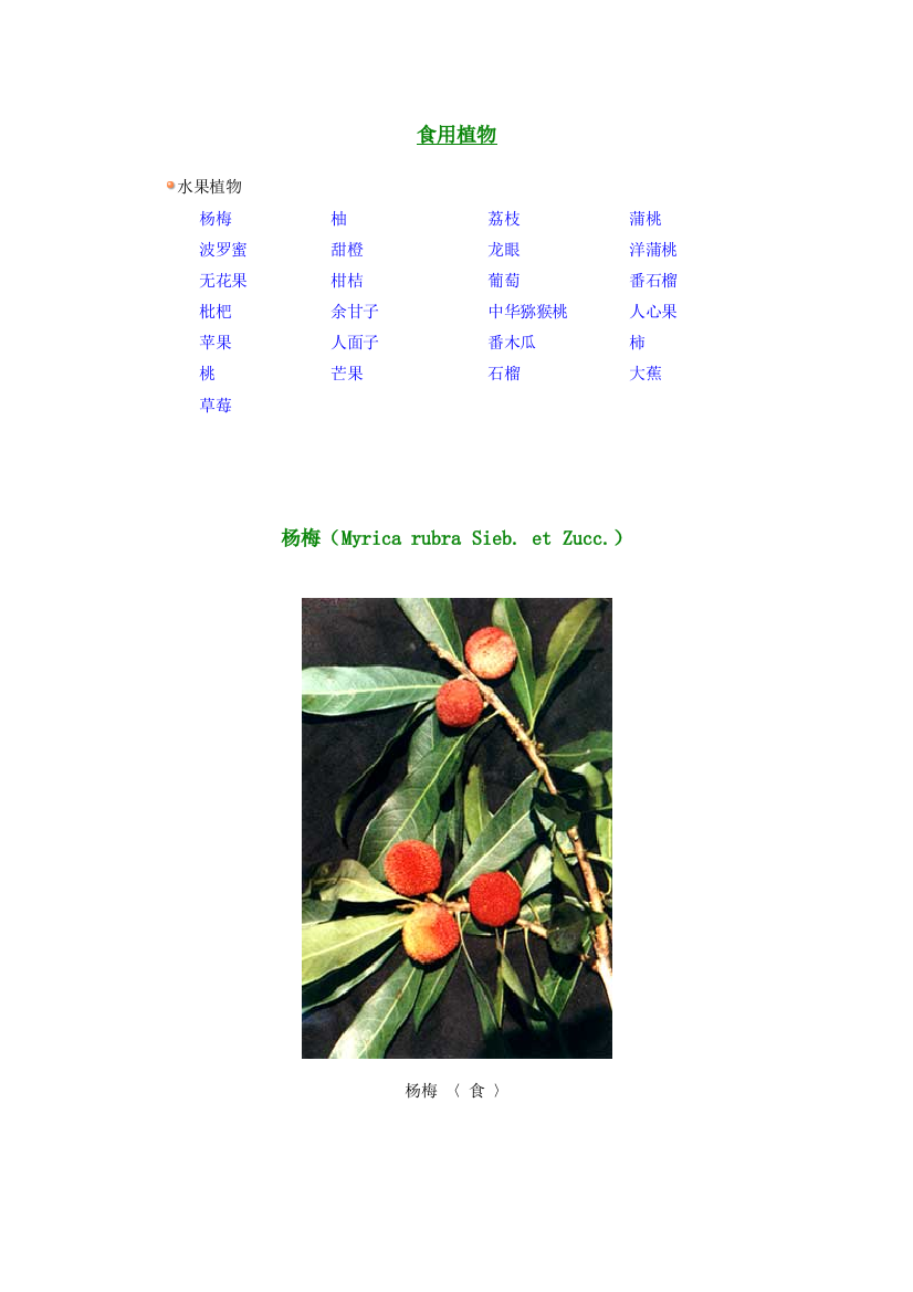 食用植物功用介绍水果植物