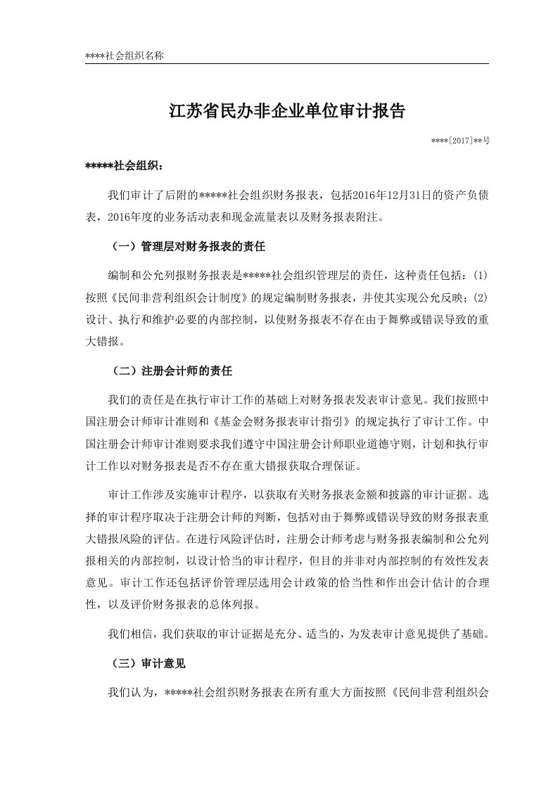 江苏省民办非企业单位审计报告