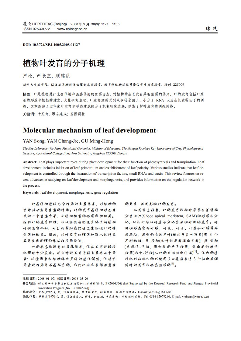 植物叶发育的分子机理