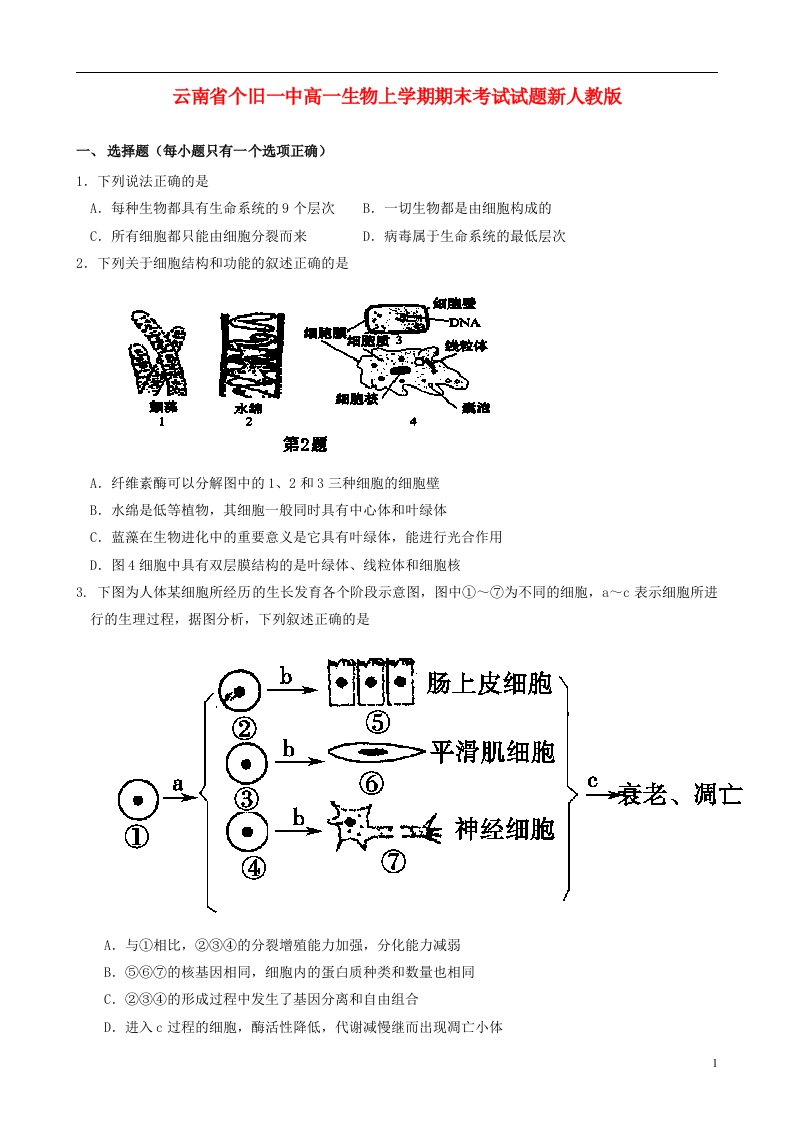 云南省个旧一中高一生物上学期期末考试试题新人教版