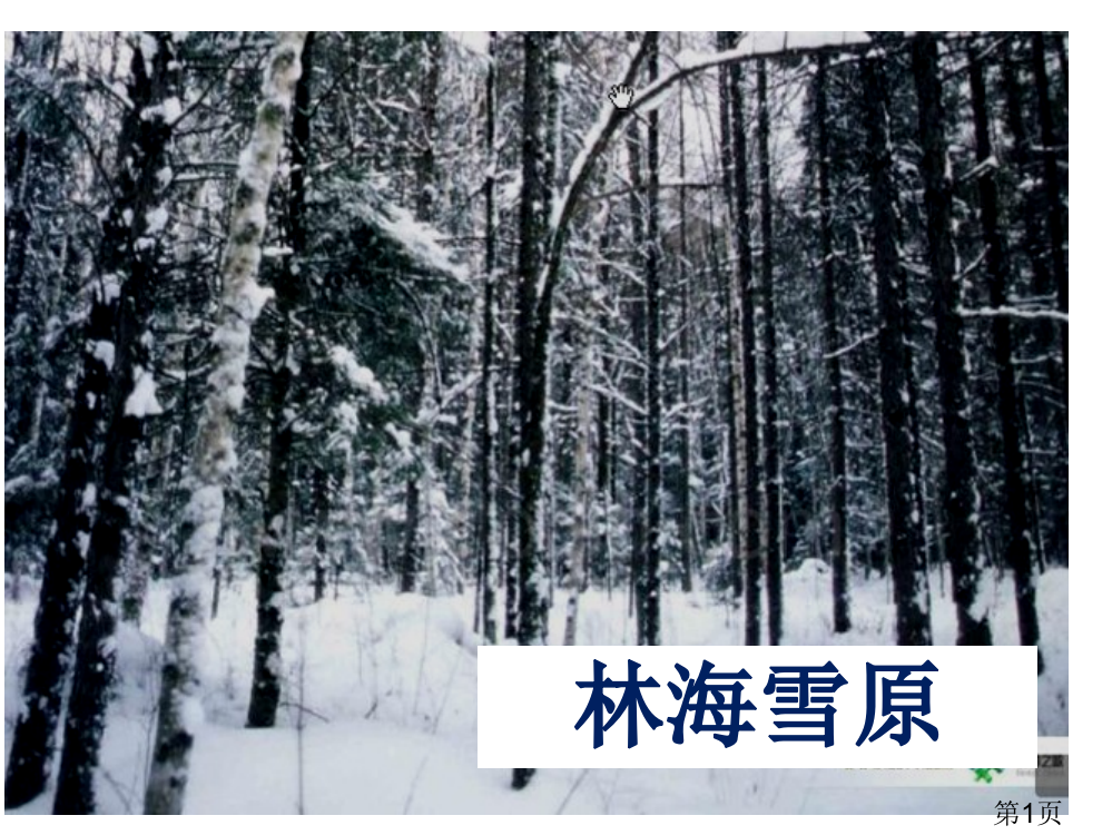 鲁教版五年级品社下册《林海雪原》超详细名师优质课获奖市赛课一等奖课件