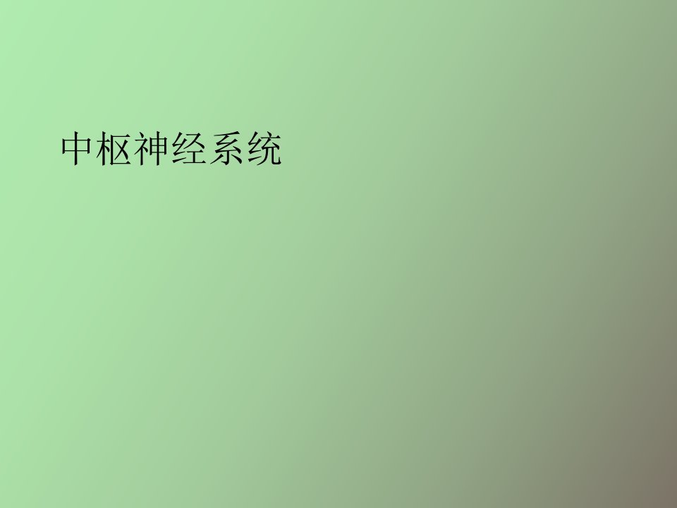 习题六中枢神经系统