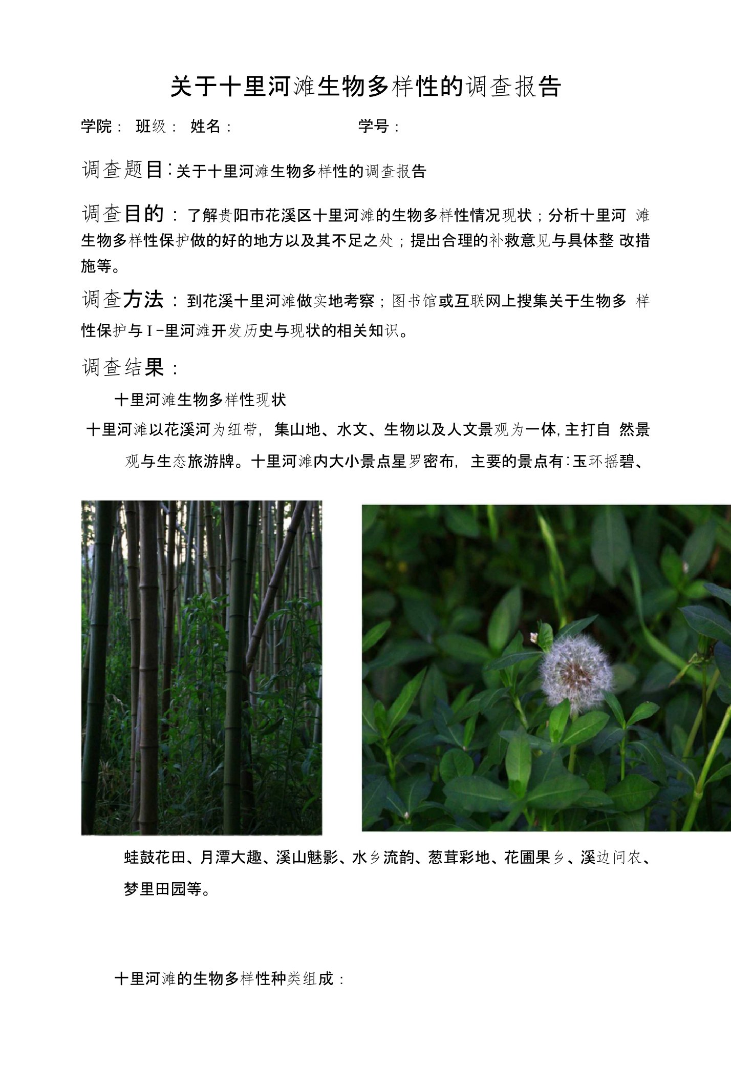 关于十里河滩生物多样性的调查报告