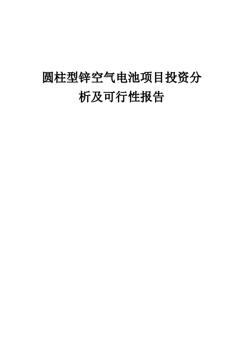 2024年圆柱型锌空气电池项目投资分析及可行性报告