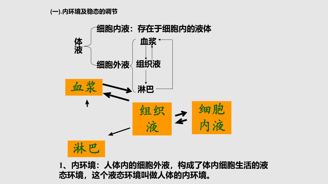 稳态与免疫高中三年级生物学习PPT教案