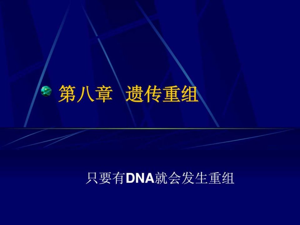 遗传学经典课件第14章遗传重组.ppt