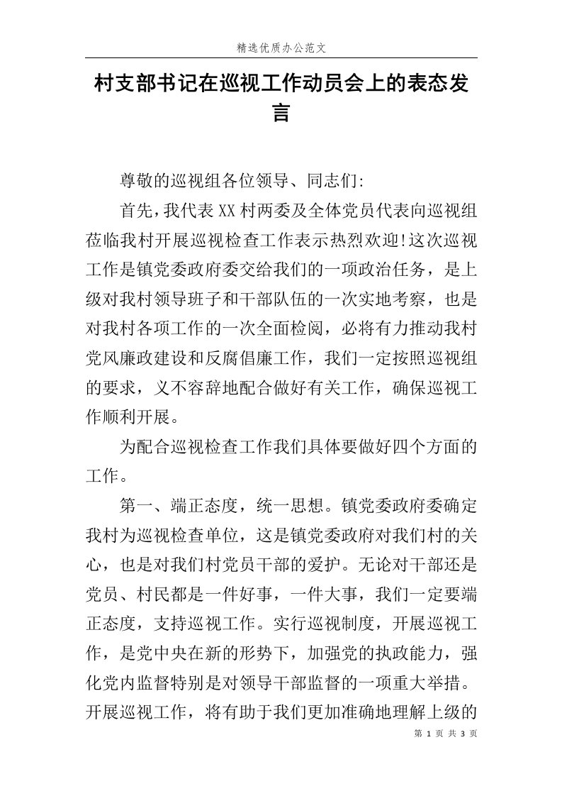 村支部书记在巡视工作动员会上的表态发言范文