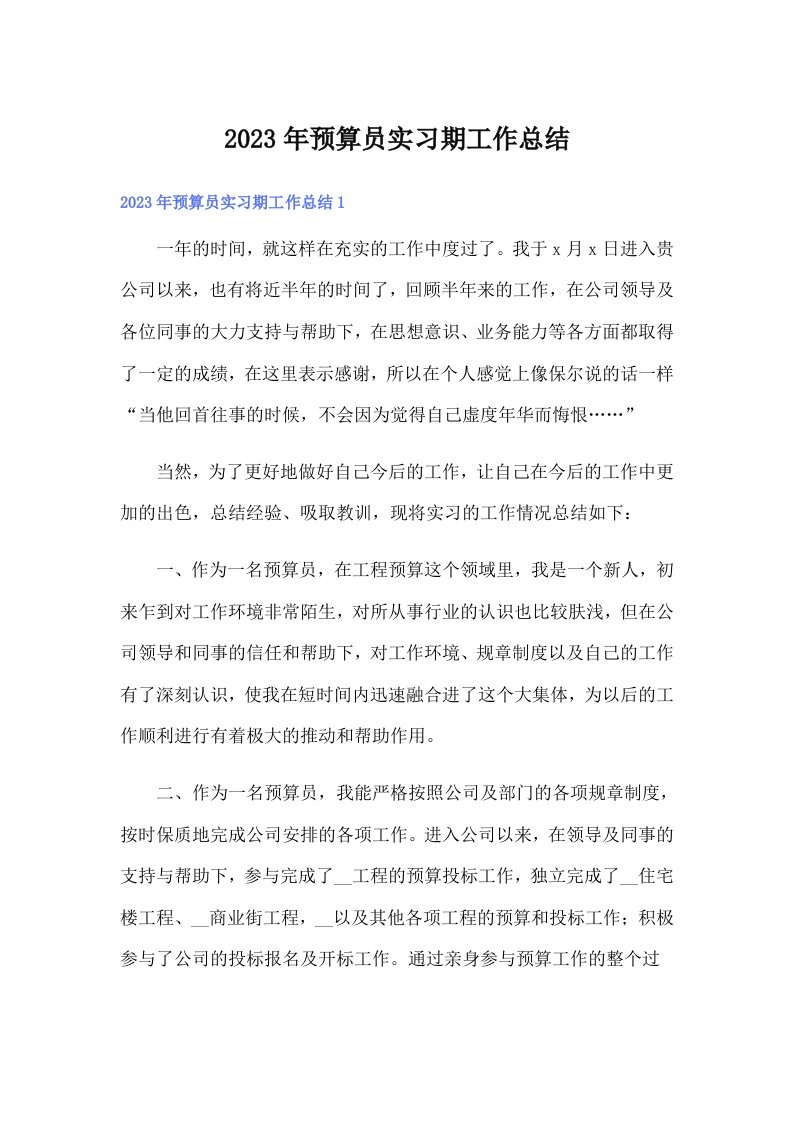 2023年预算员实习期工作总结