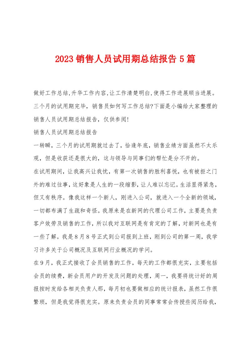 2023销售人员试用期总结报告5篇