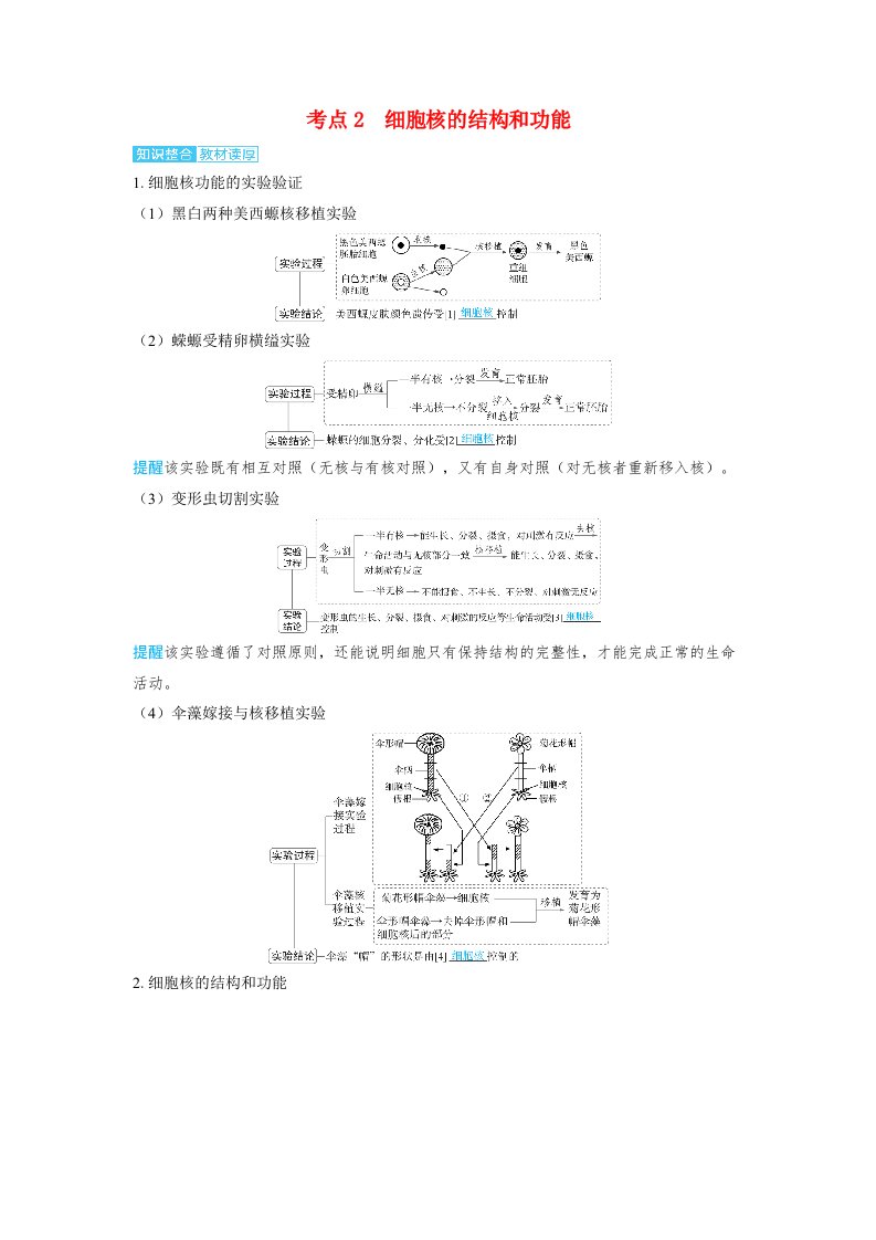 备考2024届高考生物一轮复习讲义第二章细胞的基本结构和物质的运输课时1细胞膜和细胞核的结构和功能考点2　细胞核的结构和功能