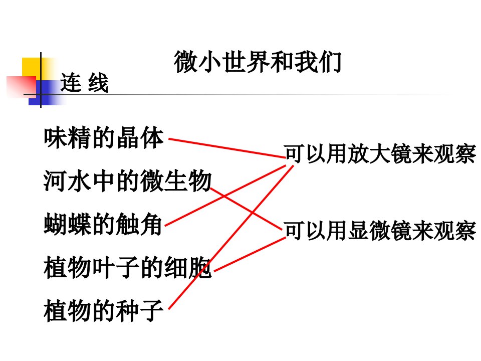 教科版科学六下《微小世界和我们》课件之一