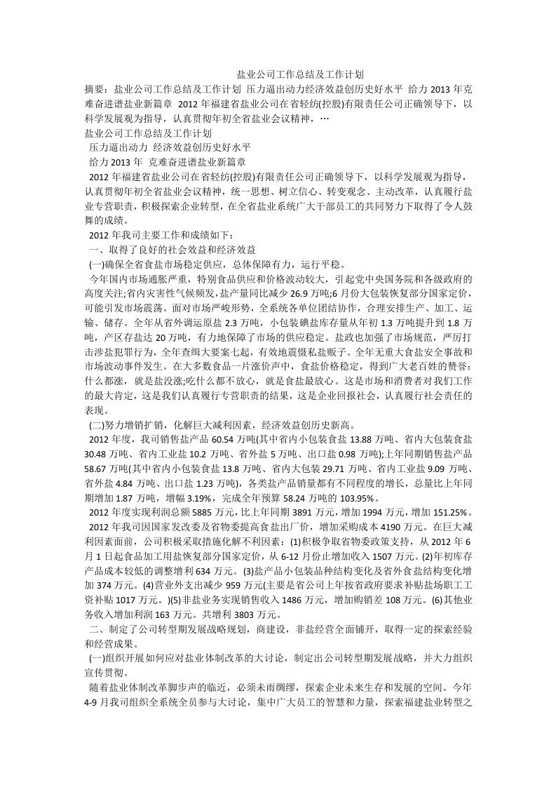 盐业公司工作总结及工作计划