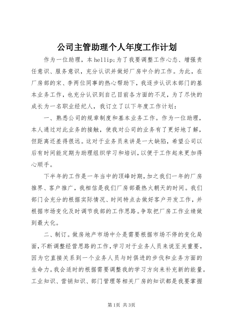 公司主管助理个人年度工作计划