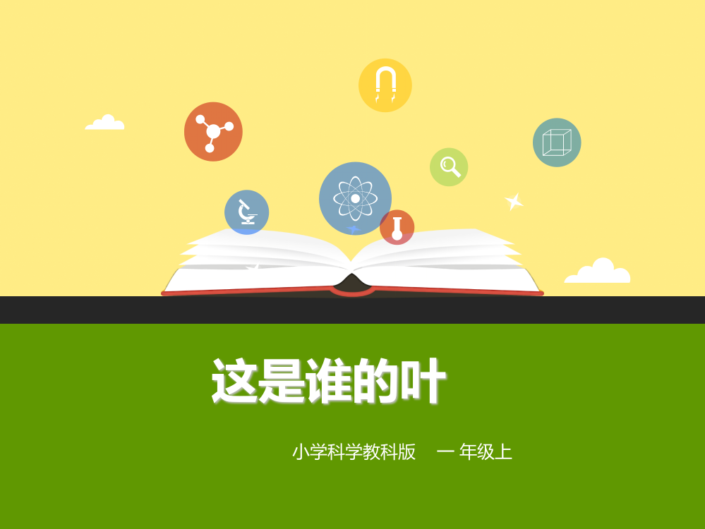 新教材-小学科学教科版一年级上册精品课件：14《这是谁的叶》(课件)-获奖课件