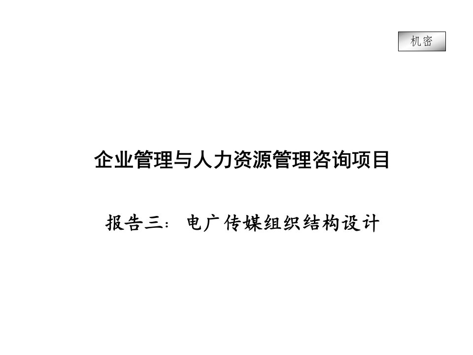 企业管理与人力资源管理咨询项目——电广传媒（PPT