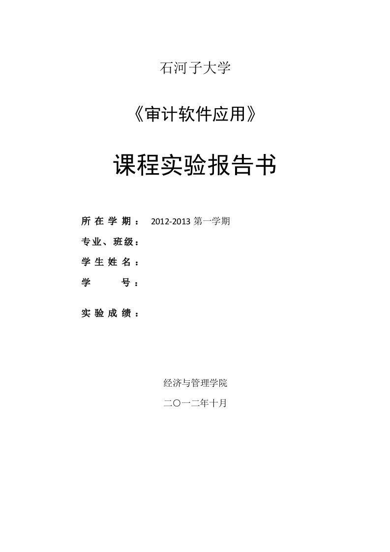 (用友)审计软件应用课程实验报告