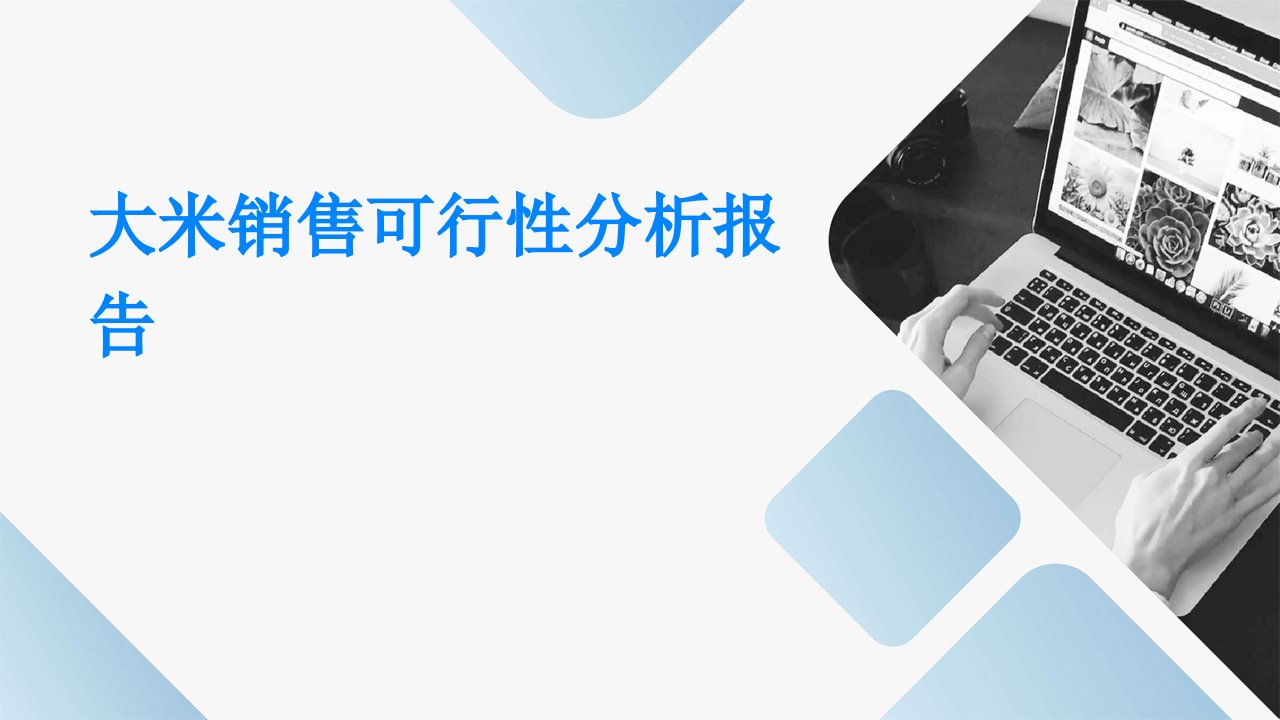 大米销售可行性分析报告