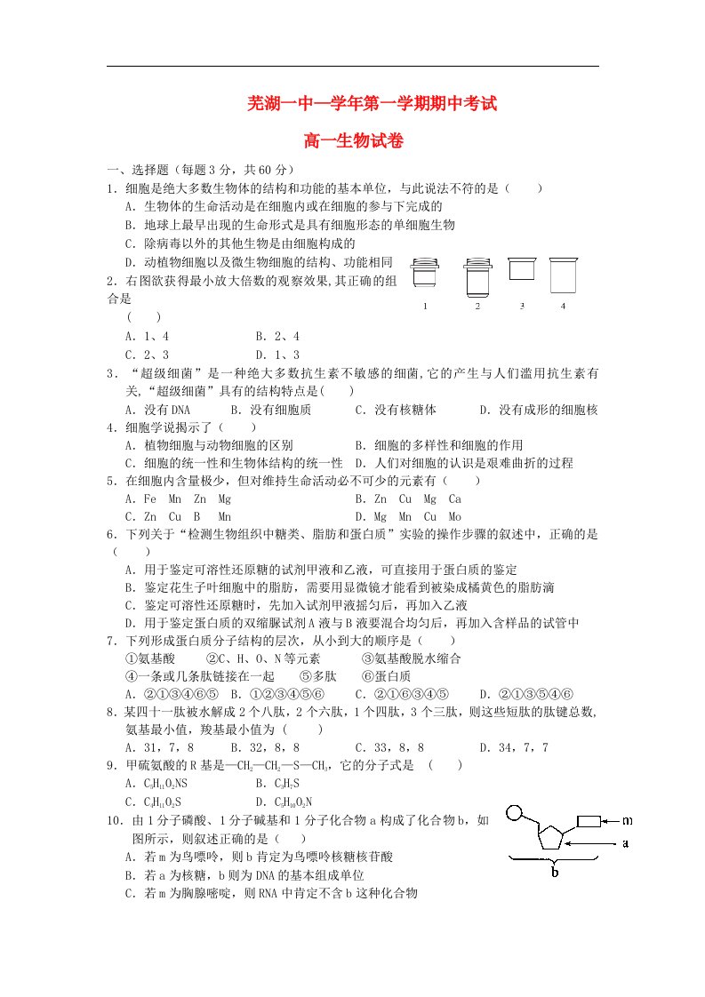 安徽省芜湖市高一生物上学期期中考试试题新人教版