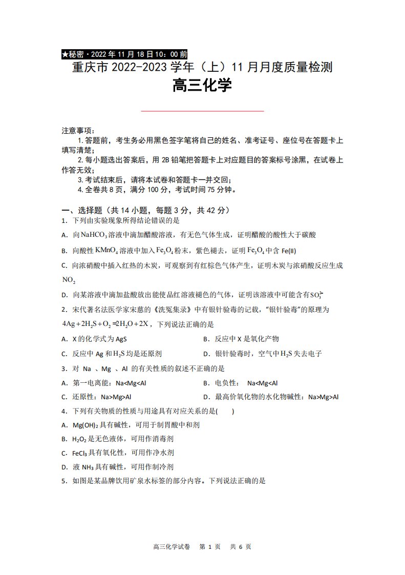 重庆市2023届高三上学期11月月度质量检测化学试卷+答案