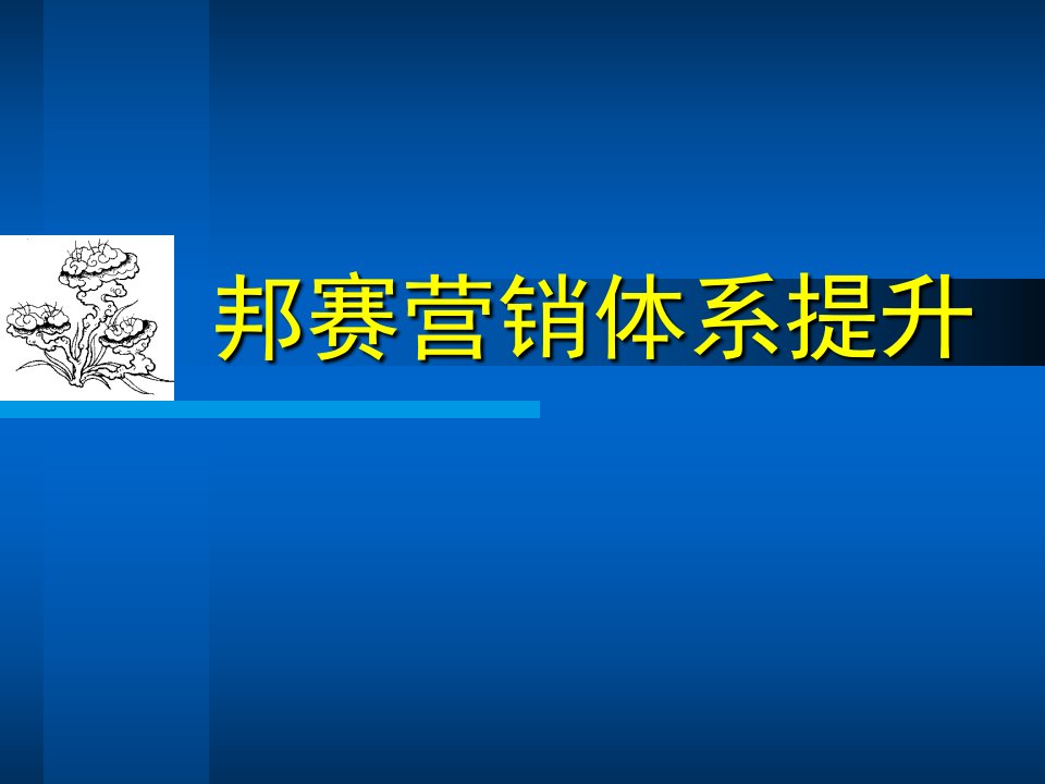 [精选]邦赛营销体系提升