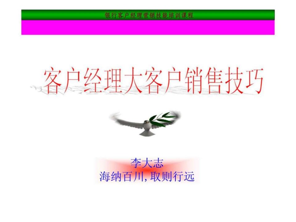 银行客户经理营销技能培训课程-客户经理大客户销_智库文档