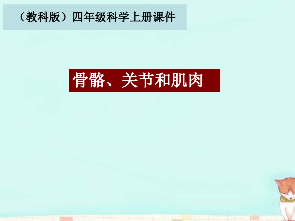 《骨骼、关节和肌肉》教学