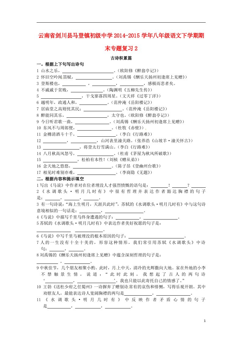 云南省剑川县马登镇初级中学八年级语文下学期期末专题复习2（无答案）