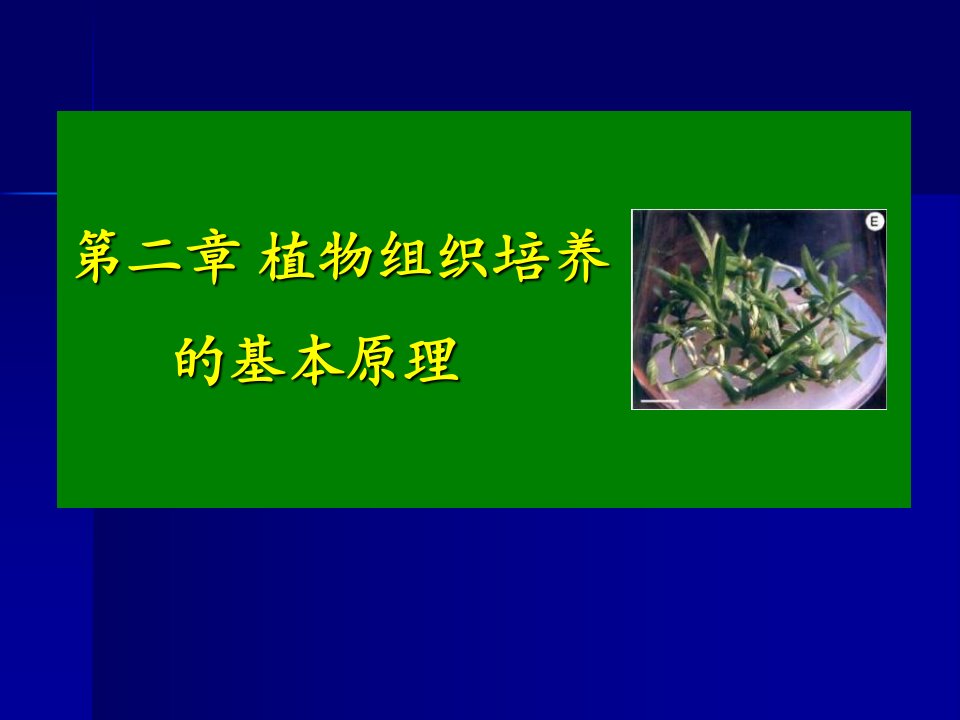 植物组织培养具体原理