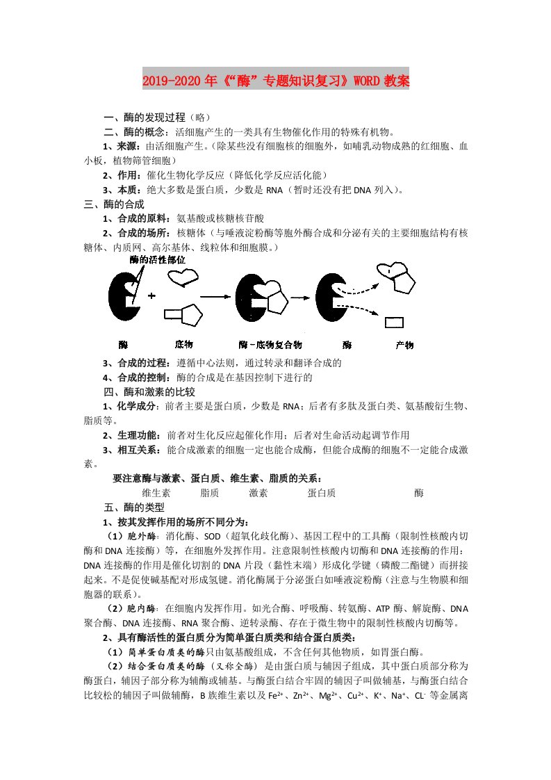 2019-2020年《“酶”专题知识复习》WORD教案