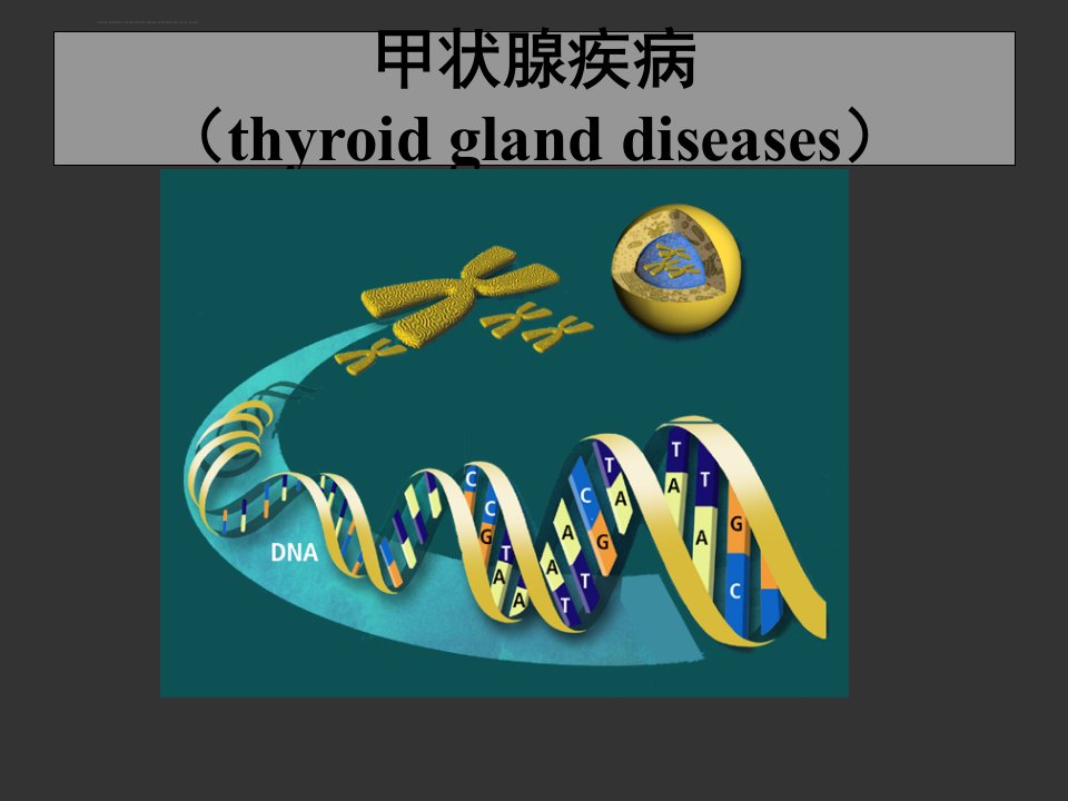 甲状腺疾病-外科学课件ppt