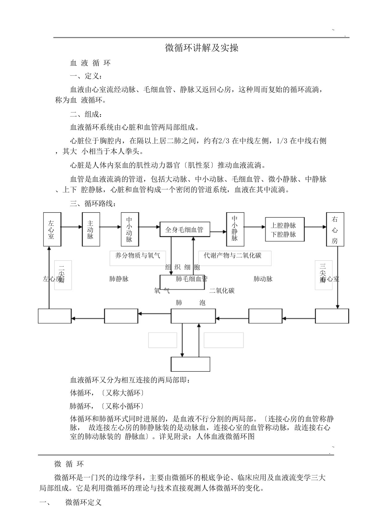 微循环讲解及实操材料