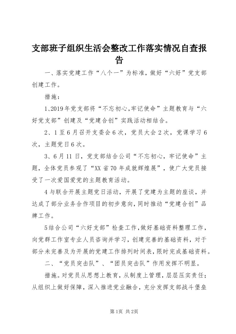 7支部班子组织生活会整改工作落实情况自查报告