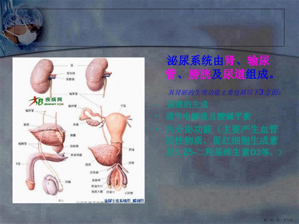 肾损伤病人的护理