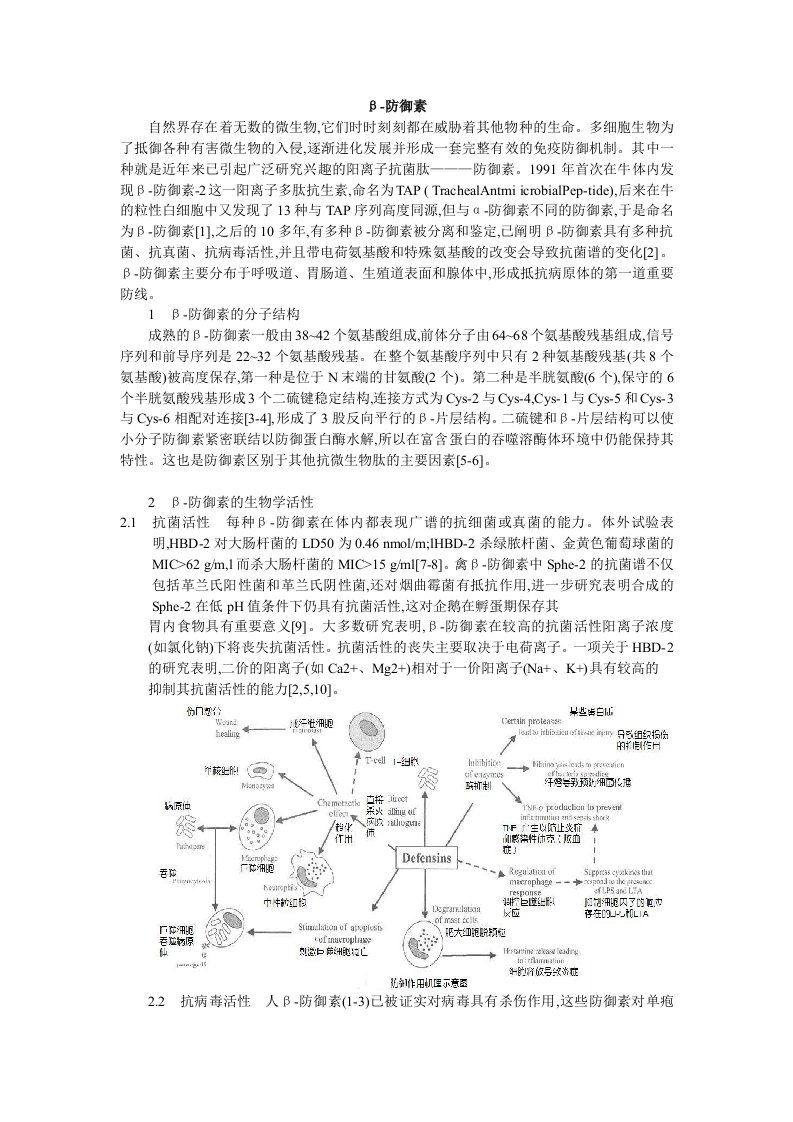 β防御素