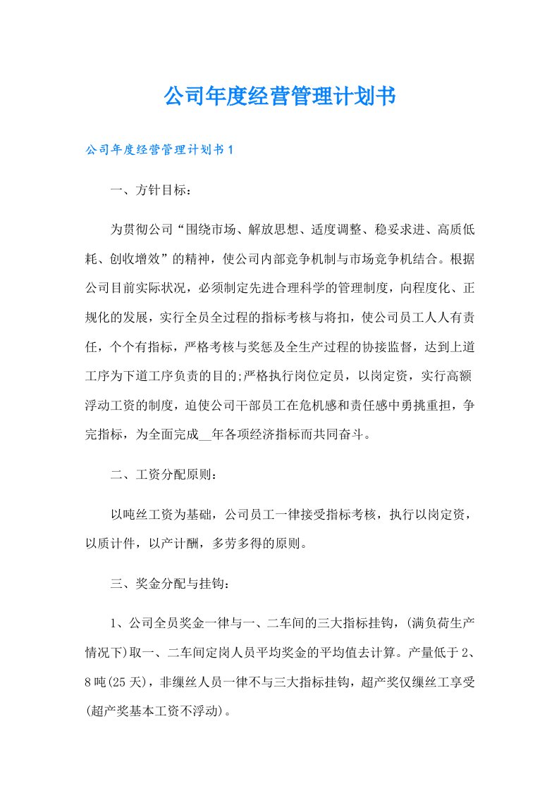 公司年度经营管理计划书