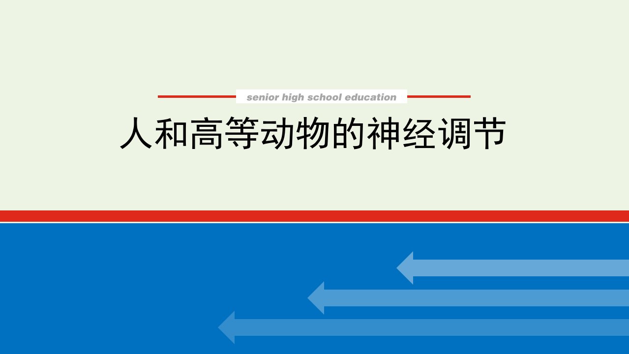 2022届高考生物一轮复习第一单元人和高等动物生命活动的调节2人和高等动物的神经调节课件新人教版必修3