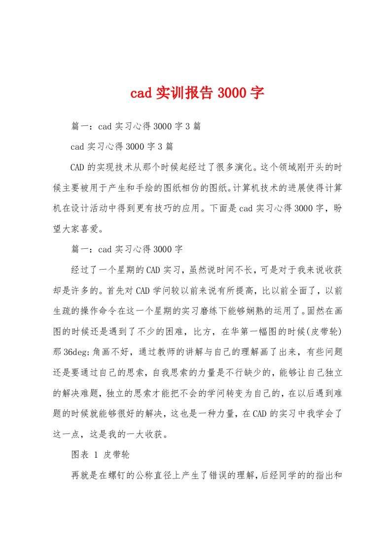 cad实训报告3000字