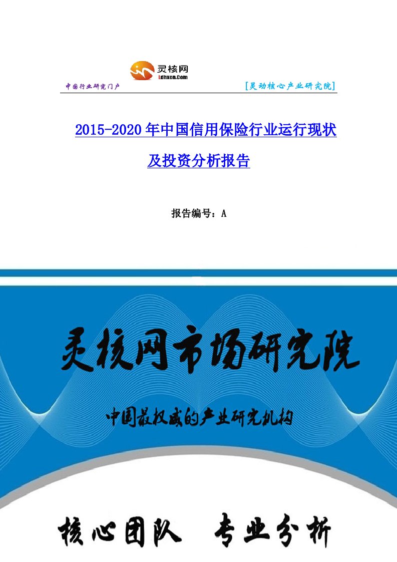 中国信用保险行业市场分析与发展趋势研究报告灵核网