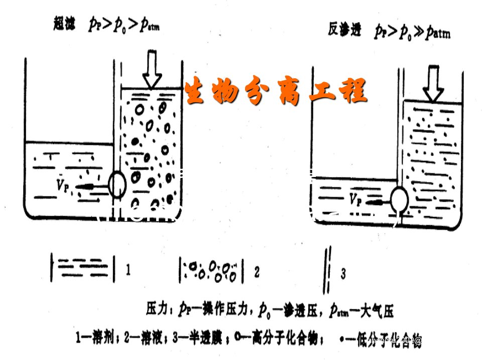 生物分离工程